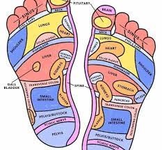 Reflexology Foot Map